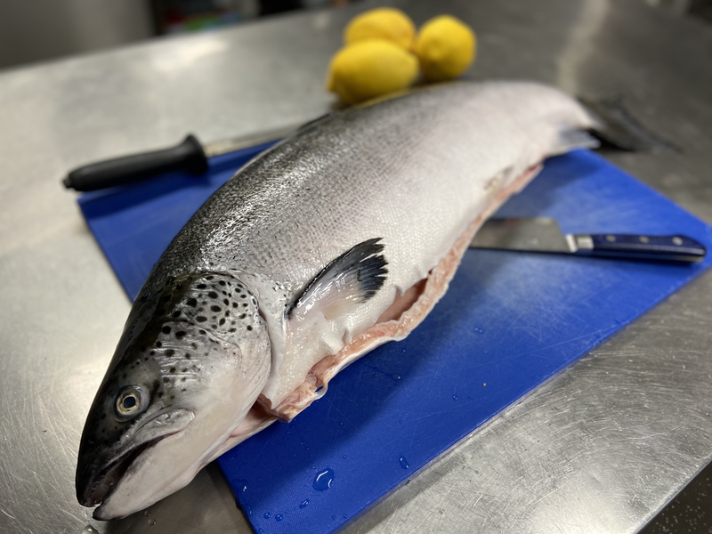 Fresh Fish